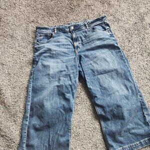 AE Stretch Low-Rise Baggy Wide-Leg Crop Jean Size 18